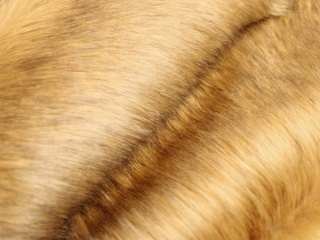 SZTUCZNE FUTERKO RUDE CAMEL